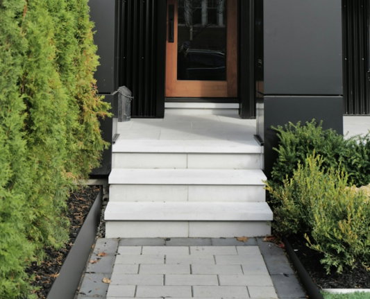 modern-black-entrance-with-white-stairs-and-greenery.jpg Modern black entrance with white stairs and greenery