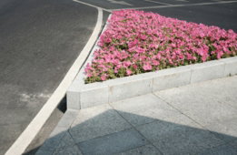 a flower bed on the side of a road