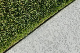 green grass on white concrete wall